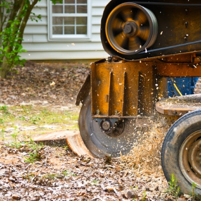 STUMP REMOVAL